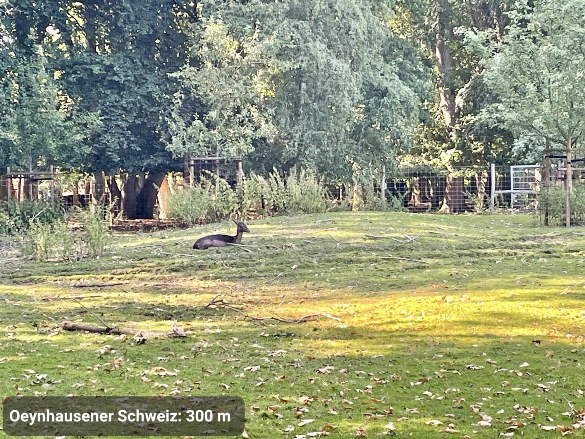 Kvartier2 In Top-Lage, 5 Min Zur Bali-Therme Und Gop, Hdz, Arbeitsplatz, Boxspringbett Bad Oeynhausen Exterior foto